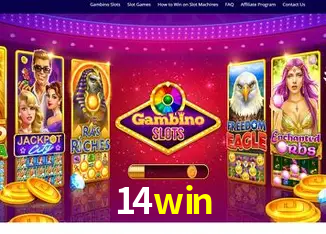 14win Rio de Janeiro - Bonus Terms