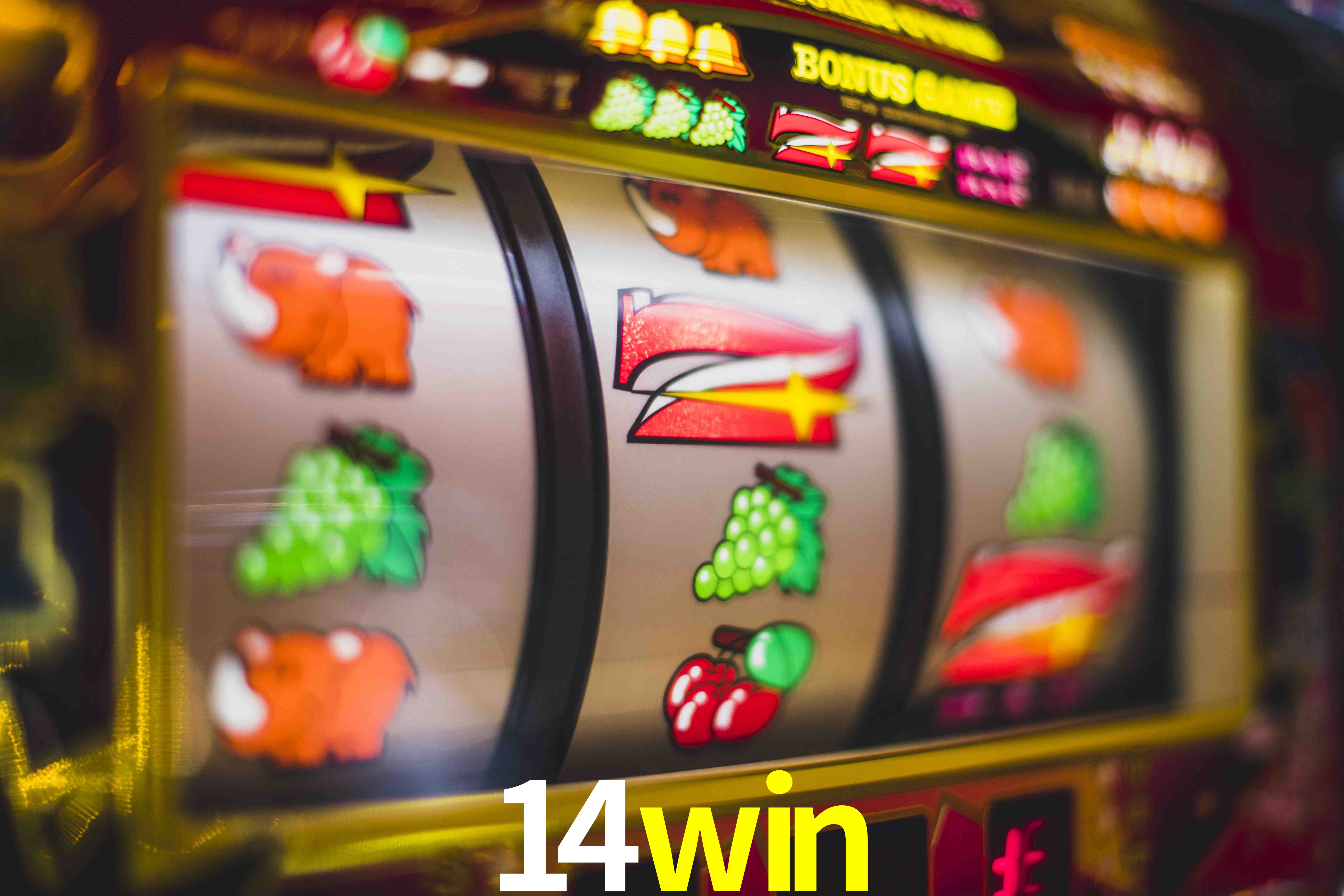 Football Betting 14win